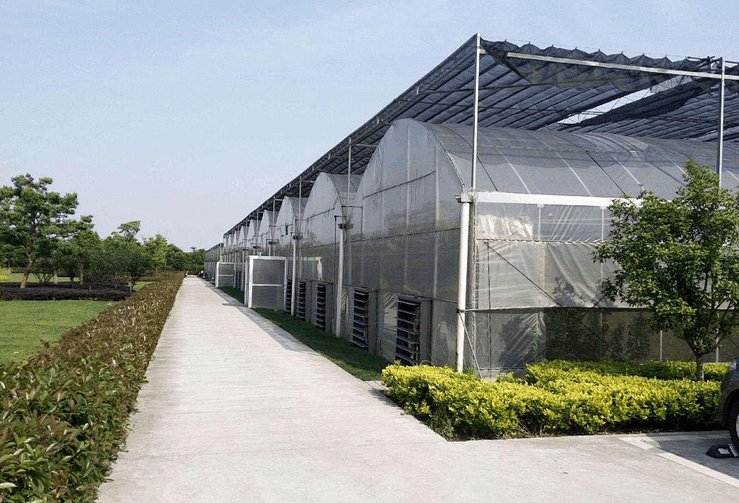 Advantages of Aluminum Foil Sh