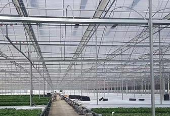 Advancements and Future Directions in Agricultural Shade Nets
