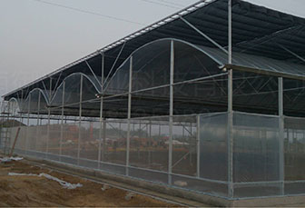 Performance Differences: Gray vs. Black Agricultural Shading Nets