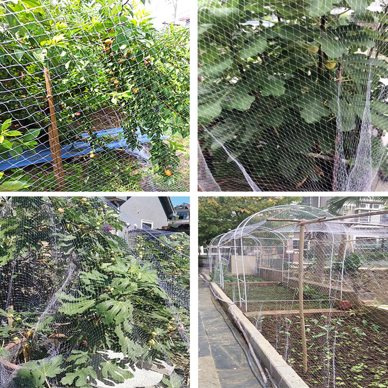 White Polyester Bird Net_4