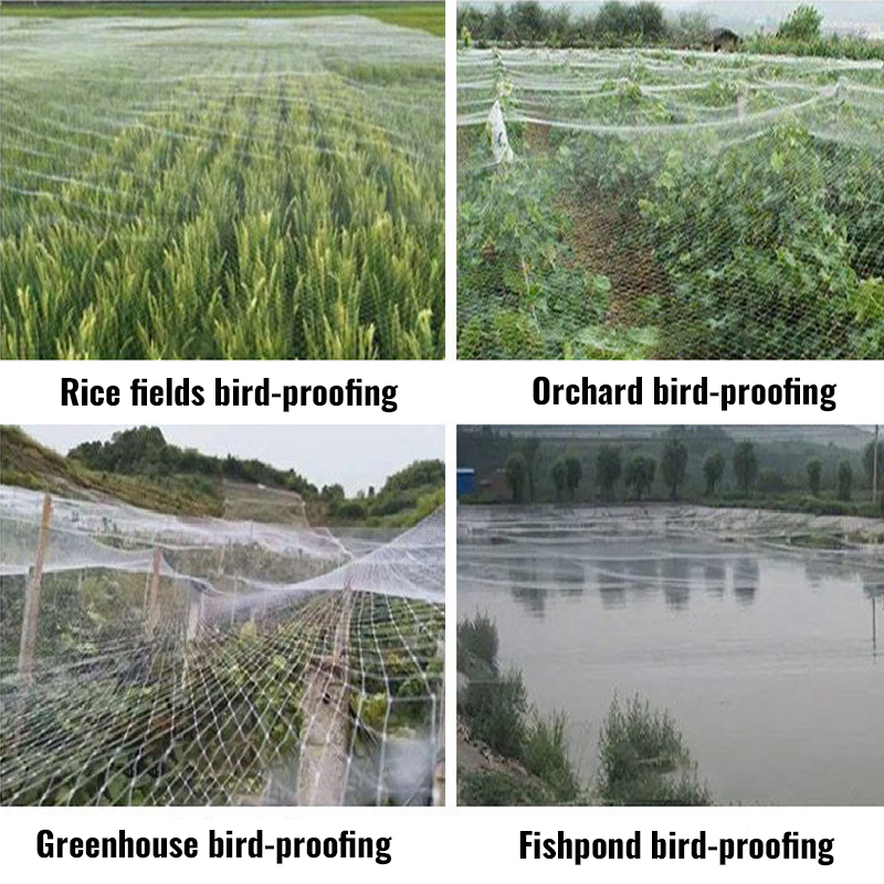 White Polyester Bird Net_5