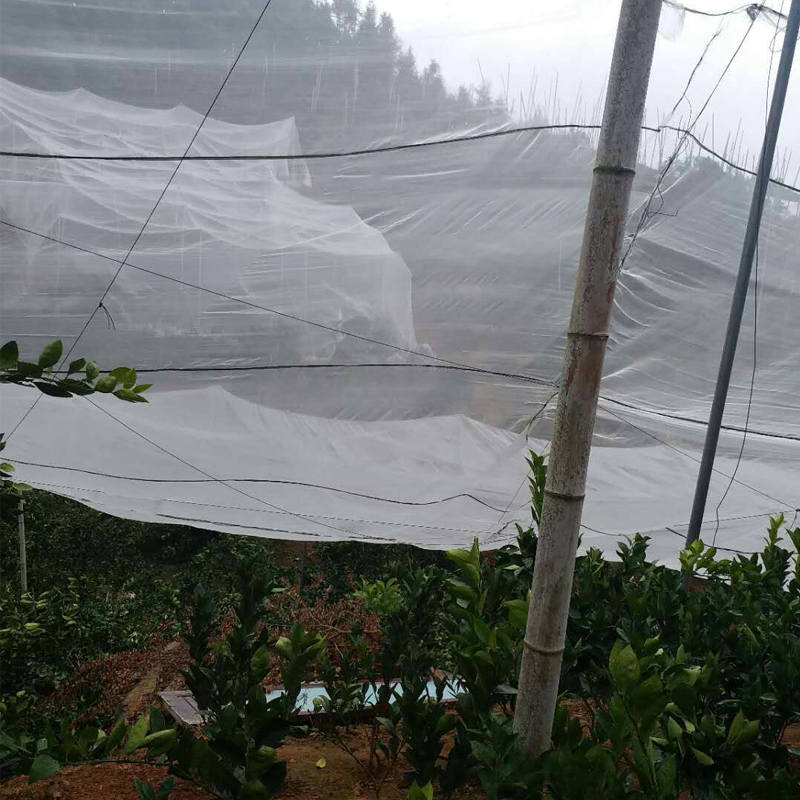 White Anti-Hail Net_6