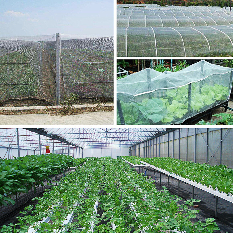 White Insect-Proof Net_6