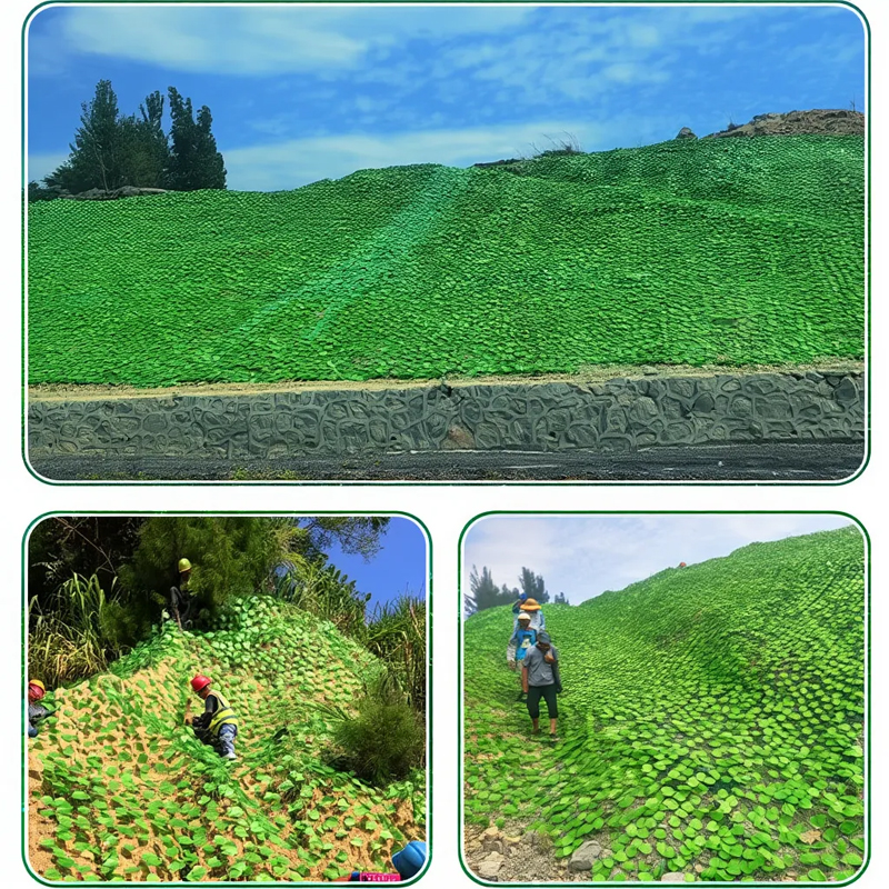 Slope Green Retention Safety Net_5