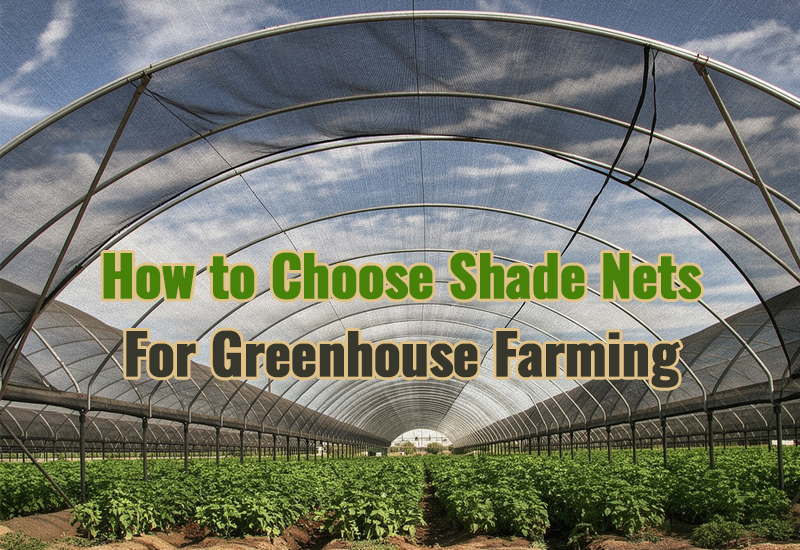 Essential Tips for Choosing and Using Shade Nets in Summer Greenhouse Farming