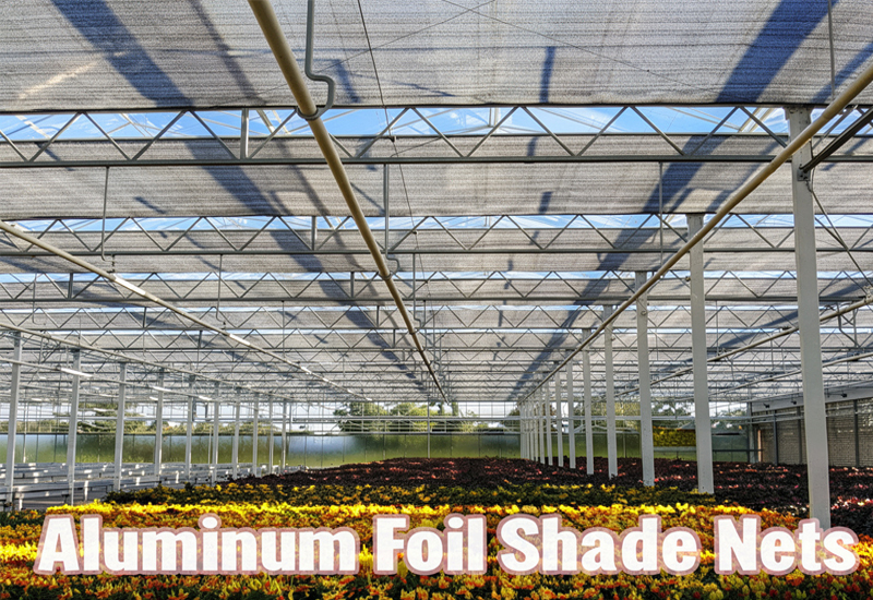 Aluminum Foil Shade Nets: Superior Cooling and Light Control for Modern Agricult