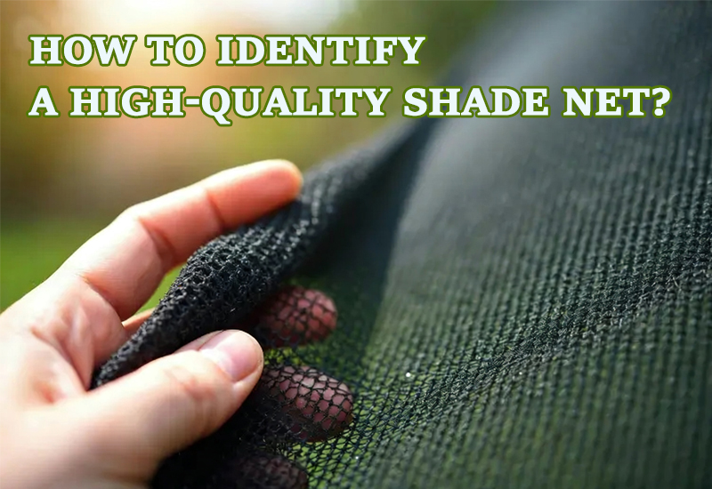 What to Look for When Buying Shade Nets: A Practical Buyer's Guide for Growers