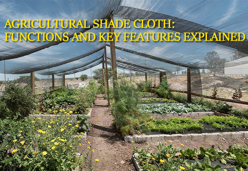 Agricultural Shade Cloth: Functions and Essential Features for Farming