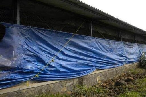 What-are-the-Benefits-of-Tarpaulin-Covers-for-Poultry-Farms-1024x683.jpg