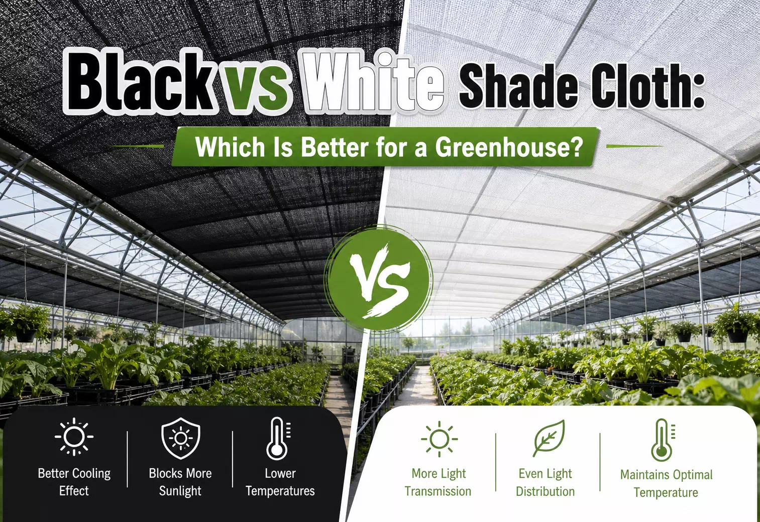 Black vs White Shade Cloth: Which Is Better for a Greenhouse?